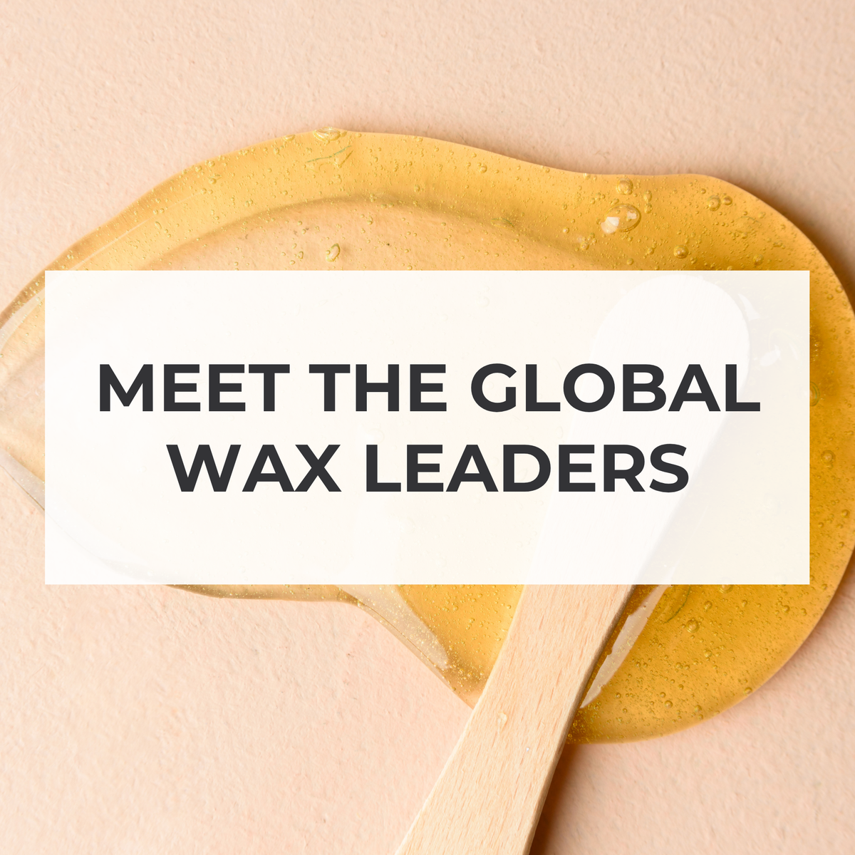 Meet The Global Wax Leaders
