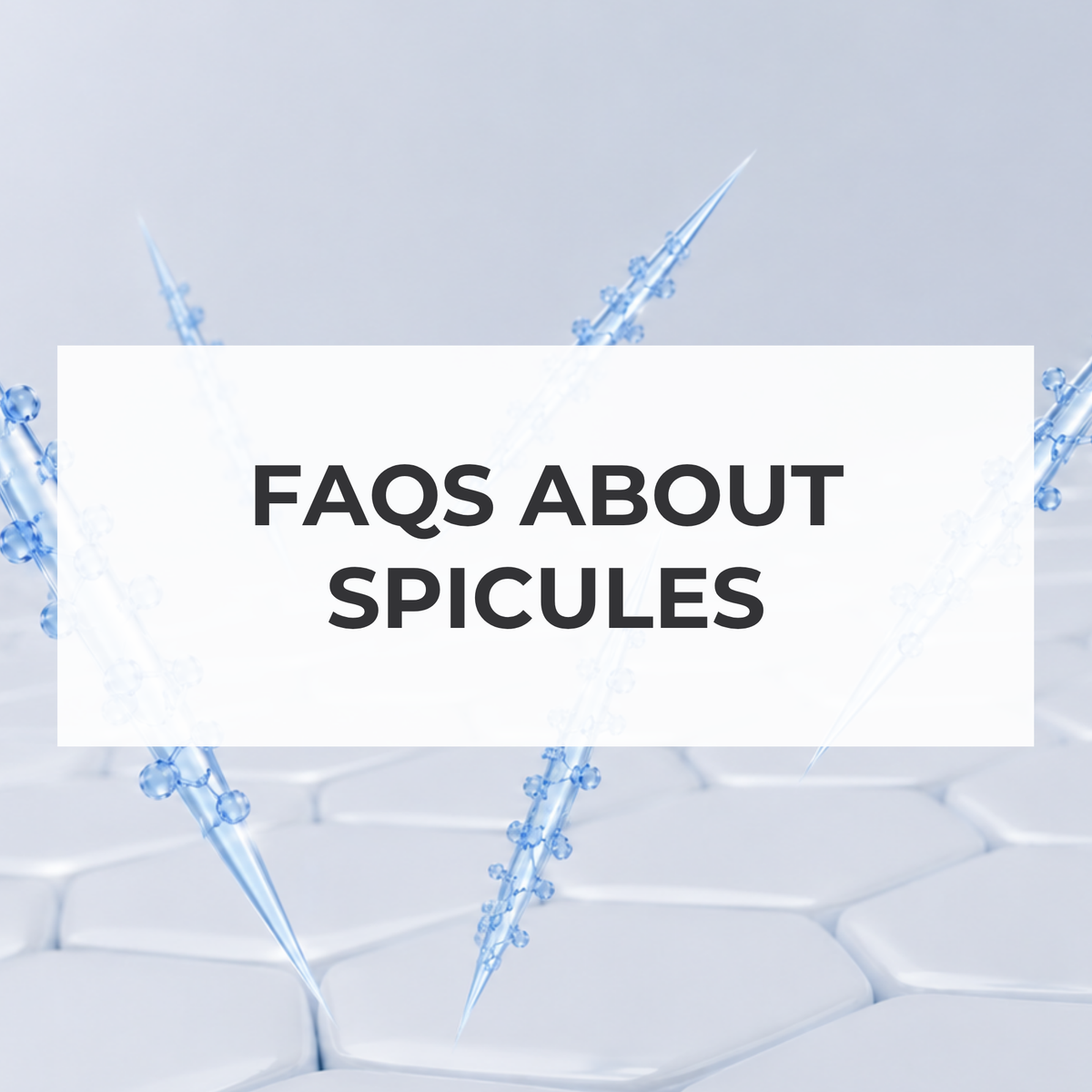 FAQs About Spicules