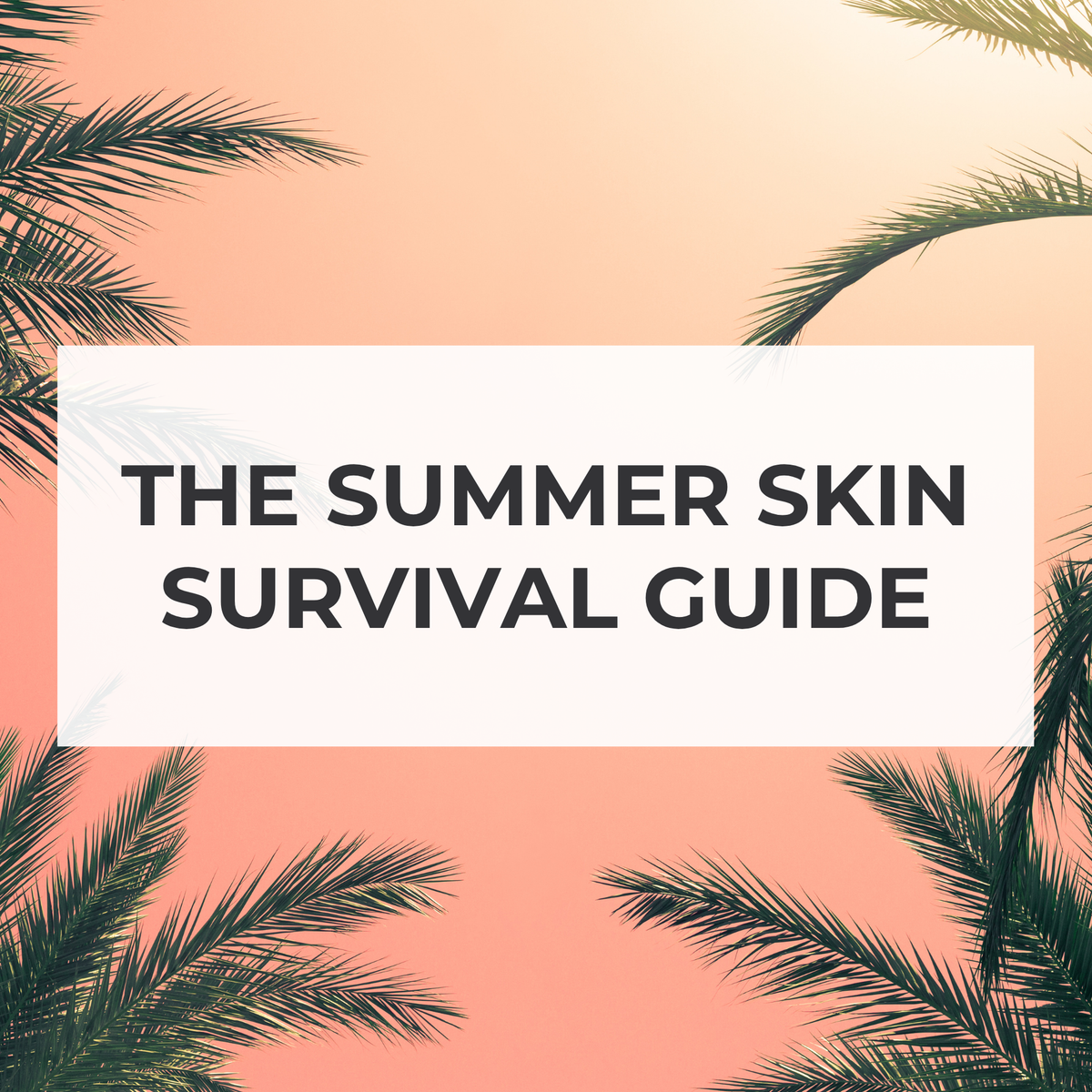 The Summer Skin Survival Guide