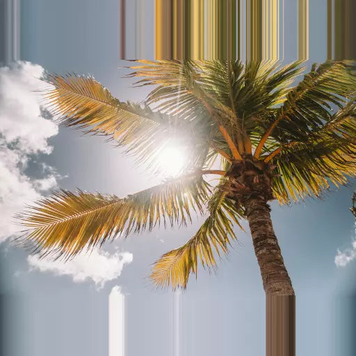 SPF vs VAT