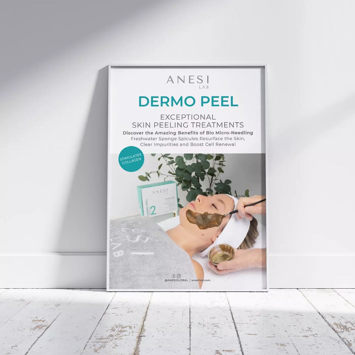 Anesi Lab Dermo Peel Poster A2